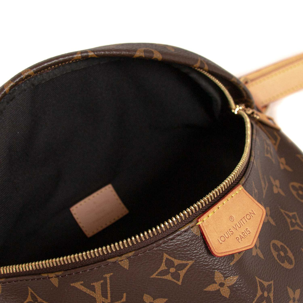 Louis Vuitton Monogram Bumbag