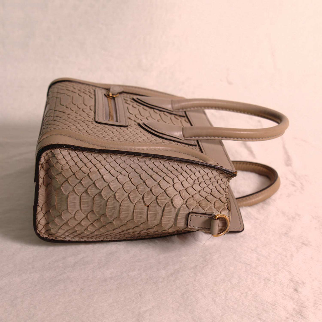 Céline Python Nano Luggage Tote Bag